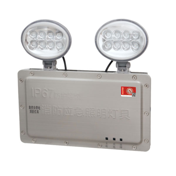 IP67防水型集控自带电双头灯