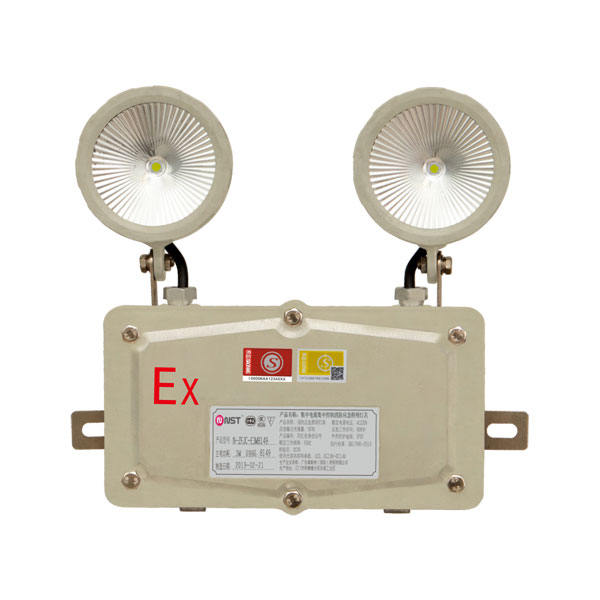 IP65防水/防爆集控集电双头灯